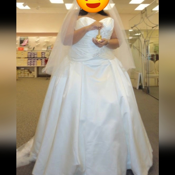 Plus Size Oleg Cassini Ballgown - Picture 4 of 4